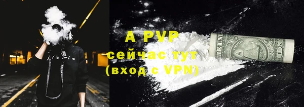 дживик Белокуриха