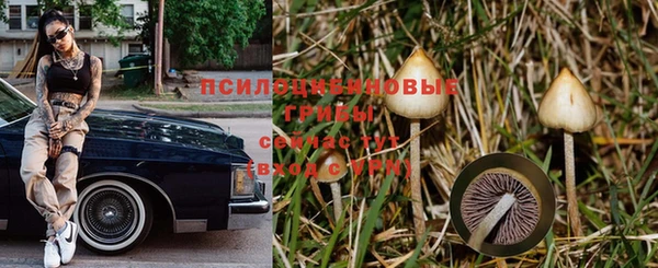 дживик Белокуриха
