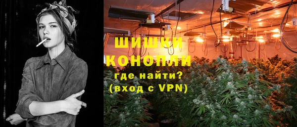 дживик Белокуриха