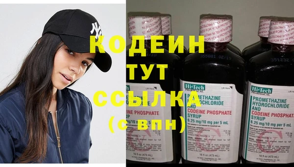 дживик Белокуриха