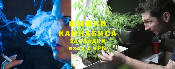 дживик Белокуриха