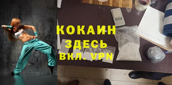 дживик Белокуриха