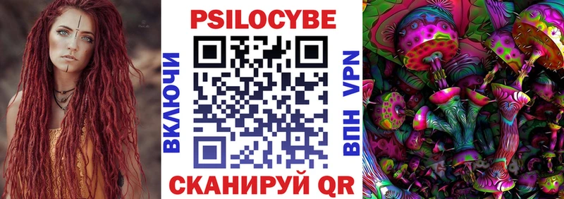 дарнет шоп  Фёдоровский  Галлюциногенные грибы MAGIC MUSHROOMS 
